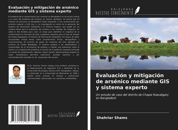 Produktbild: Evaluaci&oacute;n y mitigaci&oacute;n de ars&eacute;nico mediante GIS y sistema experto