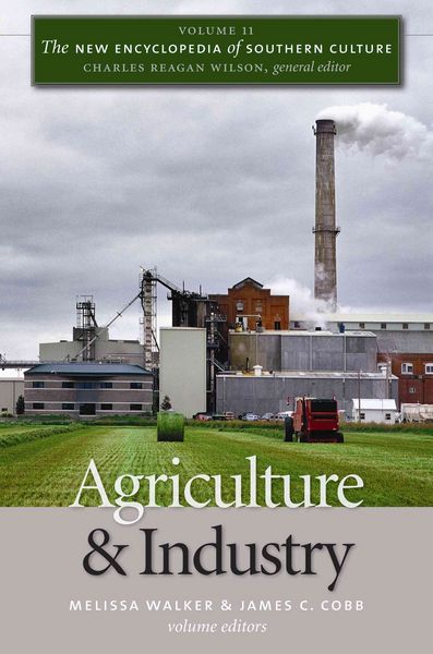Produktbild: The New Encyclopedia of Southern Culture