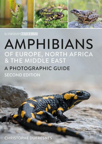 Produktbild: Amphibians of Europe, North Africa and the Middle East