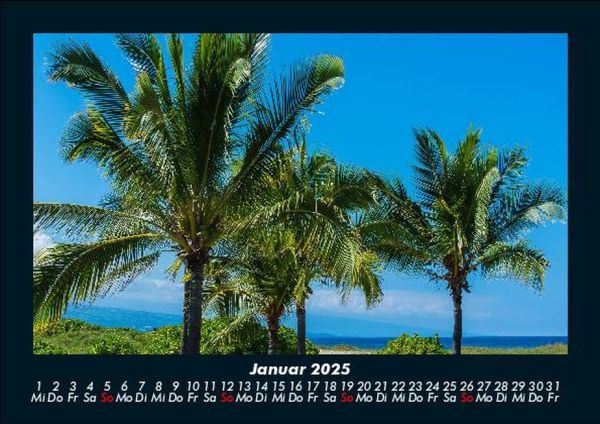 Produktbild: Palmen 2025 Fotokalender DIN A5