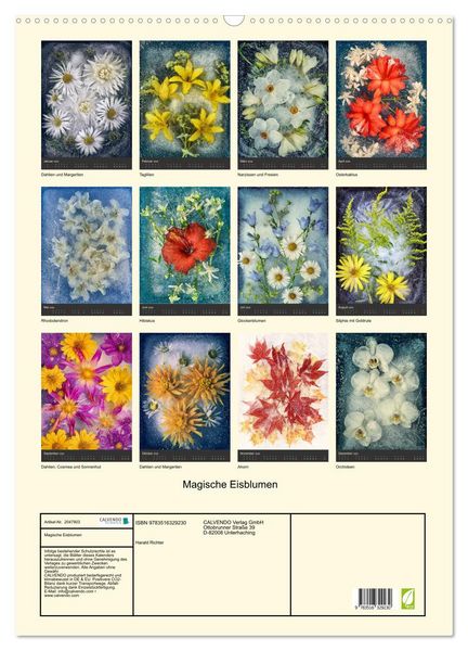 Produktbild: Magische Eisblumen (Wandkalender 2026 DIN A2 hoch), CALVENDO Monatskalender