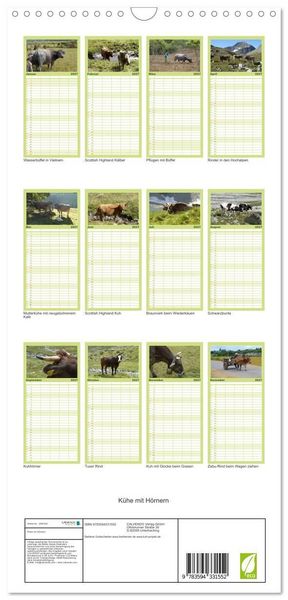 Produktbild: Familienplaner 2027 - K&uuml;he mit H&ouml;rnern mit 5 Spalten (Wandkalender, 21 x 45 cm) CALVENDO