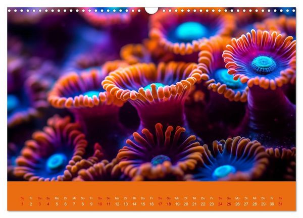 Produktbild: Farbenpracht im Ozean - Die Sch&ouml;nheit der Korallen (Wandkalender 2026 DIN A3 quer), CALVENDO Monatskalender