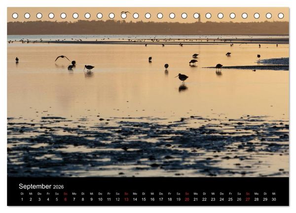 Produktbild: Sylt-Abende - Fotografien von Beate Zoellner (Tischkalender 2026 DIN A5 quer), CALVENDO Monatskalender