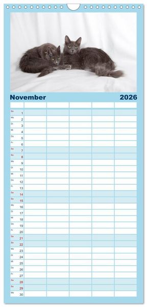 Produktbild: Familienplaner 2026 - Nebelung Katzen mit 5 Spalten (Wandkalender, 21 x 45 cm) CALVENDO