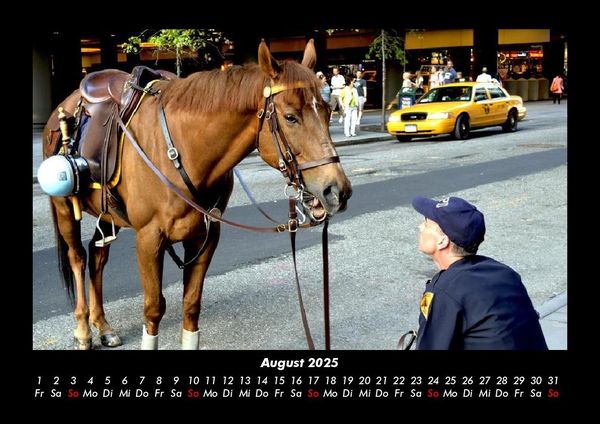Produktbild: Die Welt der Pferde 2025 Fotokalender DIN A3