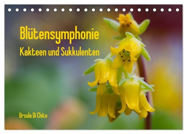 Produktbild: Bl&uuml;tensymphonie - Kakteen und Sukkulenten (Tischkalender 2026 DIN A5 quer), CALVENDO Monatskalender