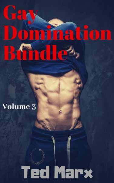 Produktbild: Gay Domination Bundle: Volume 3