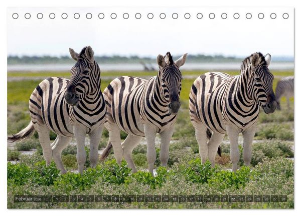 Produktbild: Namibia - Die Tierwelt (Tischkalender 2026 DIN A5 quer), CALVENDO Monatskalender