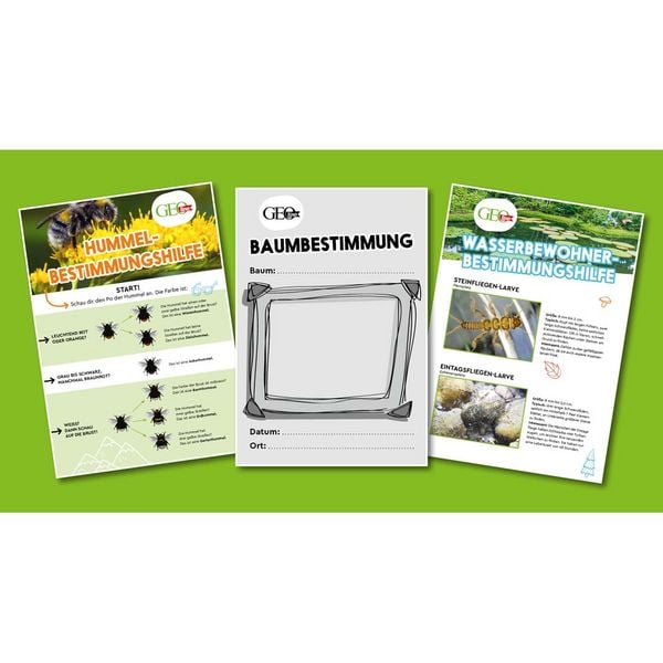 Produktbild: FRANZIS 67142 - GEOlino Natur entdecken und erforschen