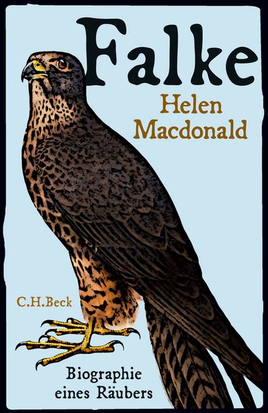 Produktbild: Falke