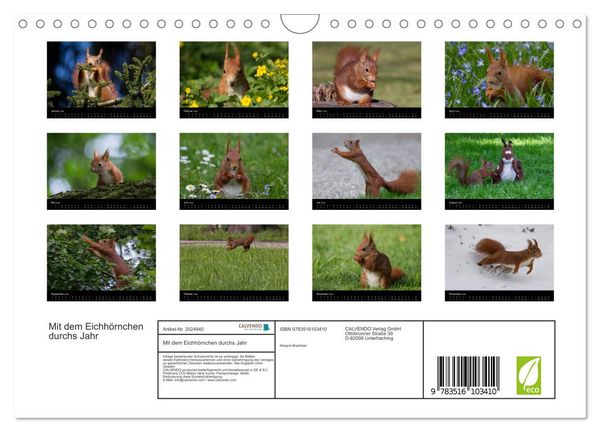 Produktbild: Mit dem Eichh&ouml;rnchen durchs Jahr (Wandkalender 2026 DIN A4 quer), CALVENDO Monatskalender