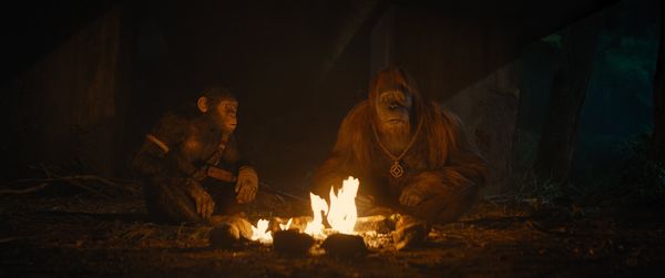 Produktbild: Planet der Affen - New Kingdom (4K Ultra HD) (+ Blu-ray)
