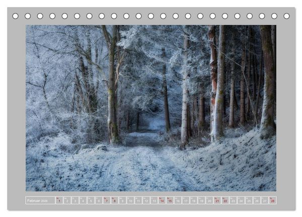 Produktbild: Wald im Licht (Tischkalender 2026 DIN A5 quer), CALVENDO Monatskalender