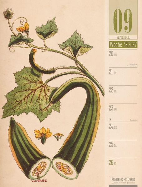 Produktbild: Culinarium Wochenplaner Kalender 2027 | K&uuml;che, Kr&auml;uter, Kurioses