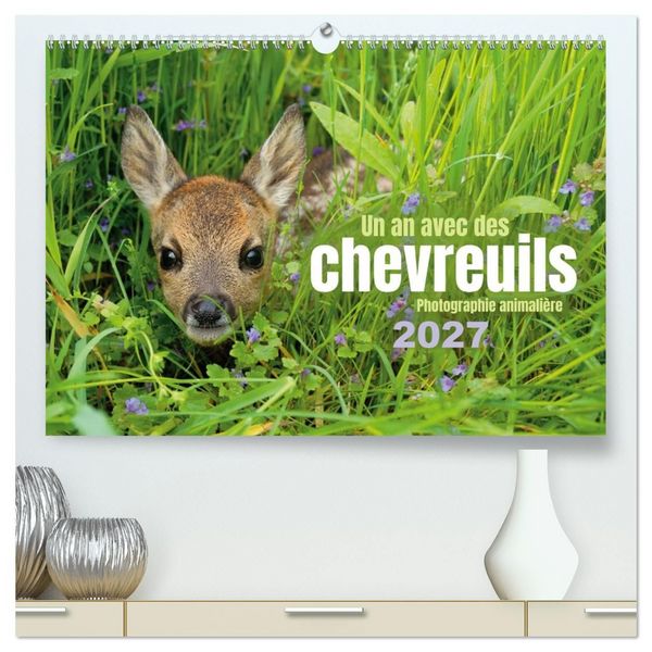 Produktbild: Un an avec des chevreuils (Calendrier mural haut de gamme 2027 DIN A2 vertical), CALVENDO calendrier mensuel