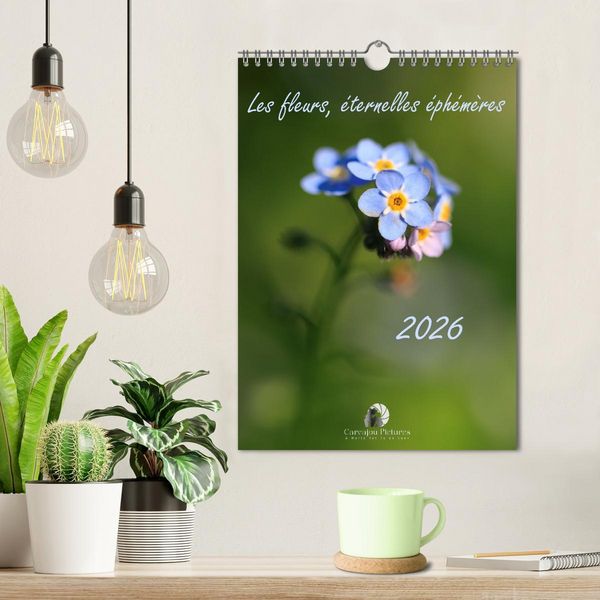Produktbild: Les fleurs, &eacute;ternelles &eacute;phem&egrave;res (Calendrier mural 2026 DIN A4 horizontal), CALVENDO calendrier mensuel