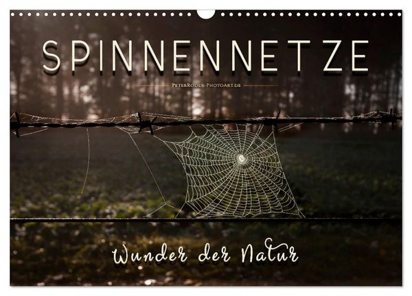 Produktbild: Spinnennetze - Wunder der Natur (Wandkalender 2026 DIN A3 quer), CALVENDO Monatskalender