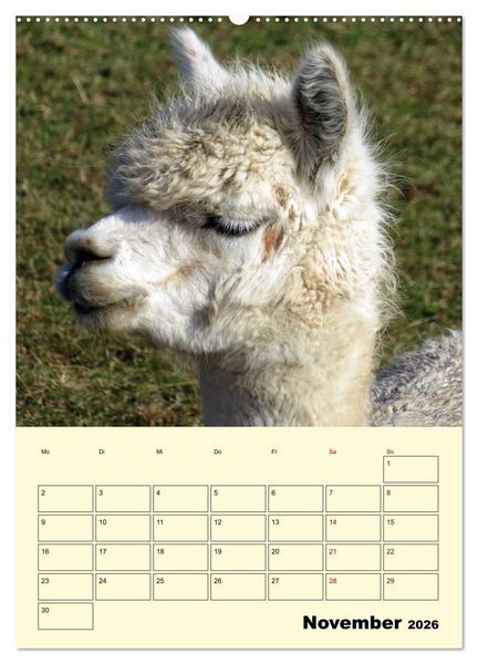 Produktbild: Alpakas erleben (hochwertiger Premium Wandkalender 2026 DIN A2 hoch), Kunstdruck in Hochglanz
