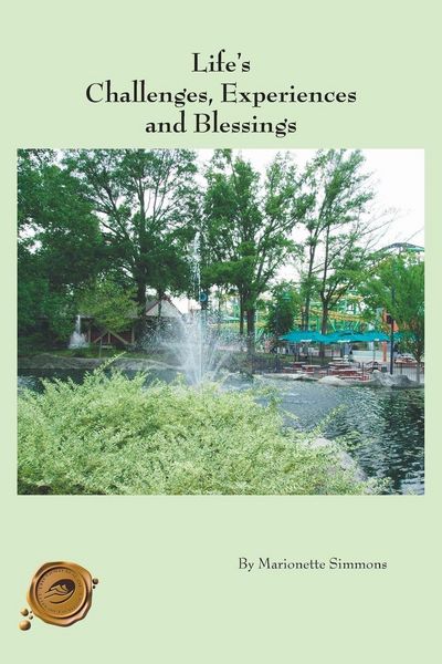 Produktbild: Life's Challenges, Experiences and Blessings