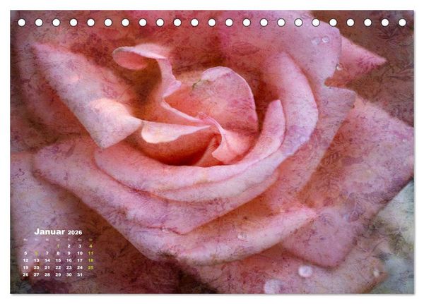 Produktbild: Rosen Romantik (Tischkalender 2026 DIN A5 quer), CALVENDO Monatskalender
