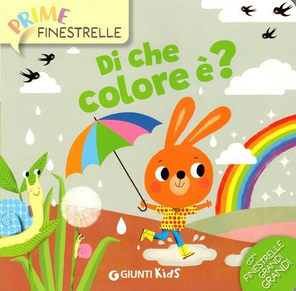 Produktbild: Di che colore &egrave;?
