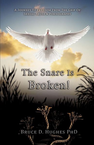 Produktbild: The Snare Is Broken