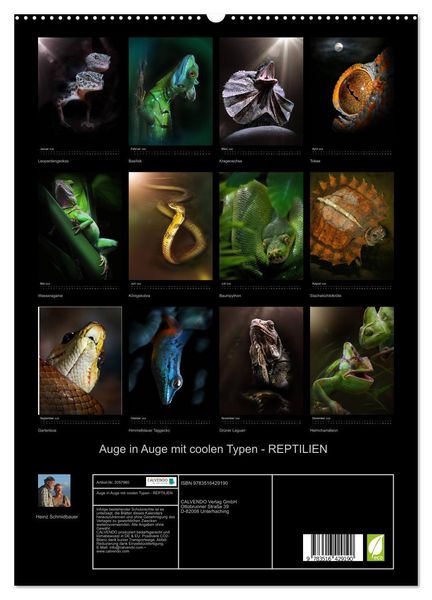 Produktbild: Auge in Auge mit coolen Typen - REPTILIEN (hochwertiger Premium Wandkalender 2026 DIN A2 hoch), Kunstdruck in Hochglanz