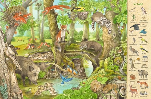 Mein erstes Wimmelbuch: Wo unsere Tiere wohnen