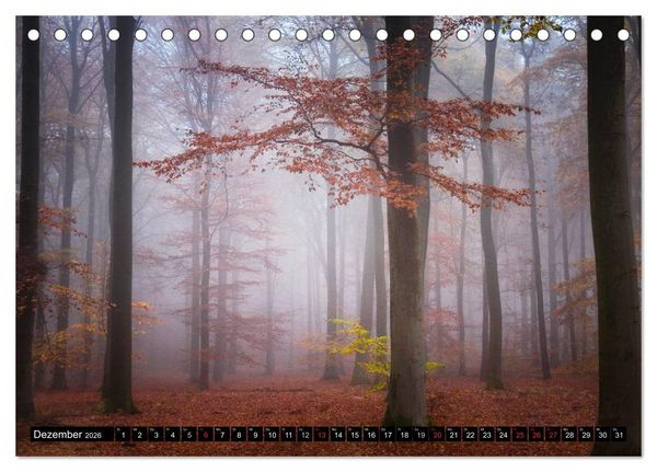 Produktbild: Zauberhafter Sachsenwald (Tischkalender 2026 DIN A5 quer), CALVENDO Monatskalender