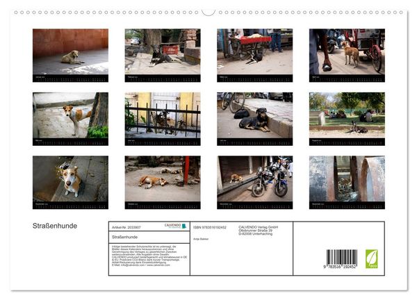Produktbild: Stra&szlig;enhunde (hochwertiger Premium Wandkalender 2026 DIN A2 quer), Kunstdruck in Hochglanz