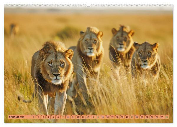Produktbild: Afrikas urt&uuml;mliche Sch&ouml;nheit (hochwertiger Premium Wandkalender 2026 DIN A2 quer), Kunstdruck in Hochglanz
