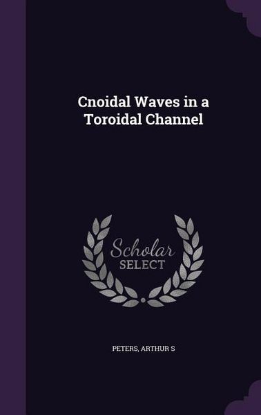 Produktbild: Cnoidal Waves in a Toroidal Channel