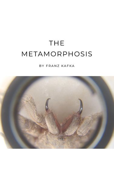 Produktbild: The Metamorphosis