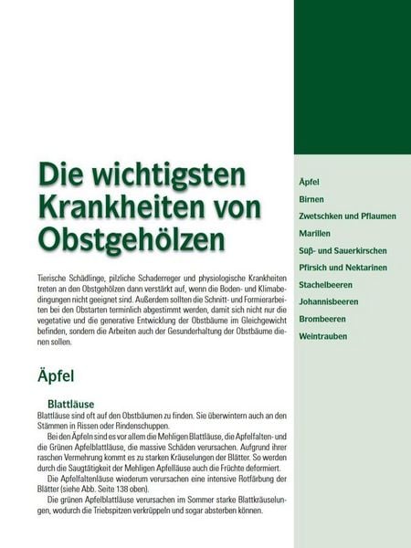 Produktbild: Spalierobst f&uuml;r Mauer, Hecke, Pergola...