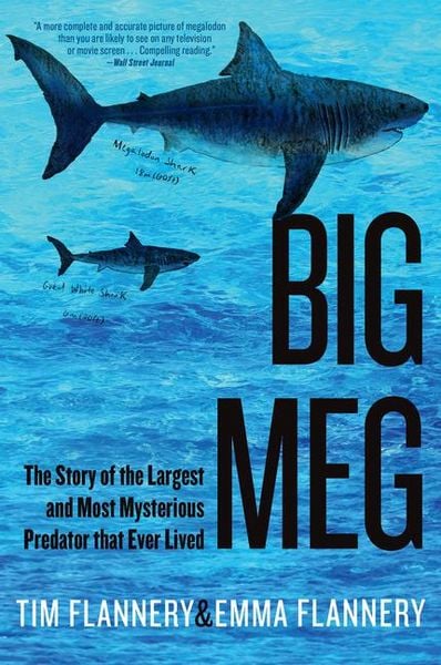 Produktbild: Big Meg