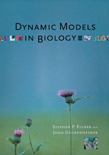 Produktbild: Dynamic Models in Biology