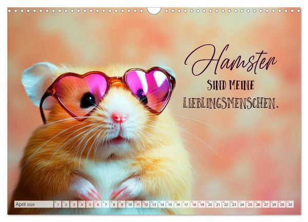 Produktbild: Hamsterhumor - Kleine Zuckerschnute, aber oho (Wandkalender 2026 DIN A3 quer), CALVENDO Monatskalender