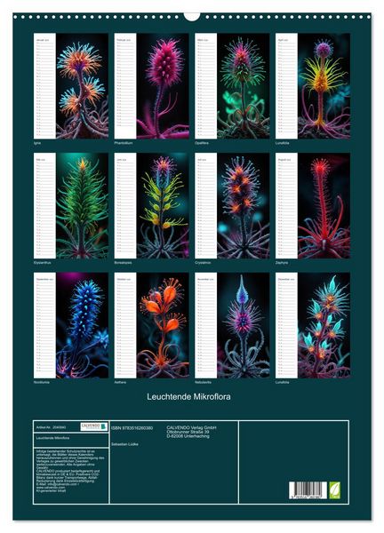 Produktbild: Leuchtende Mikroflora (Wandkalender 2026 DIN A2 hoch), CALVENDO Monatskalender
