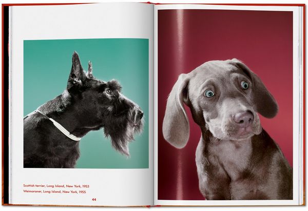 Produktbild: Walter Chandoha. Dogs. Photographs 1941&ndash;1991