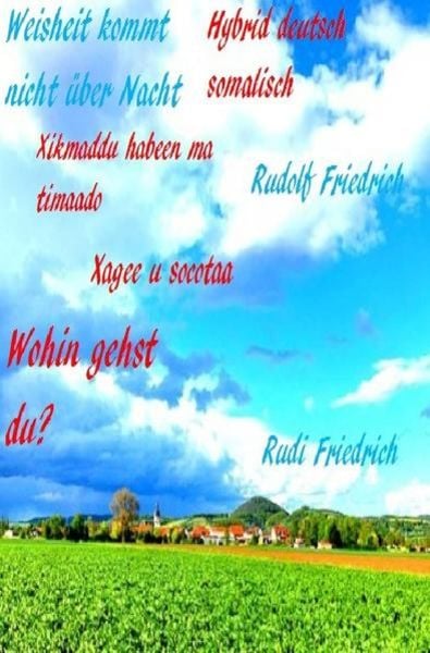 Wohin gehst du? Weisheit kommt nicht über Nacht, Taschenbuch von Rudi Friedrich, Epubli, 9783754123874