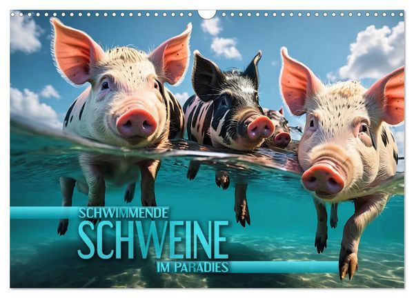 Produktbild: Schwimmende Schweine im Paradies (Wandkalender 2026 DIN A3 quer), CALVENDO Monatskalender