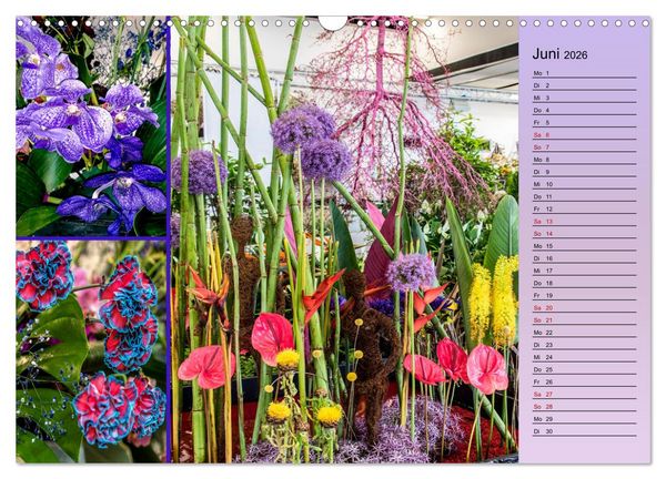Produktbild: Gartenschau in Erfurt (Wandkalender 2026 DIN A3 quer), CALVENDO Monatskalender