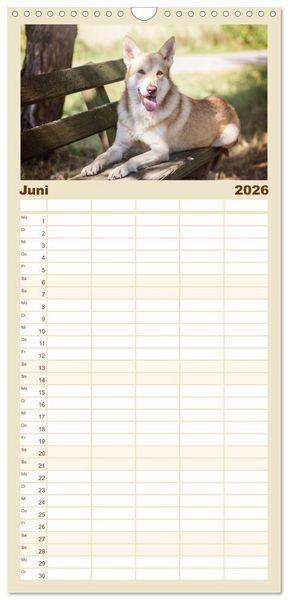 Produktbild: Familienplaner 2026 - Wolfshunde 2026 mit 5 Spalten (Wandkalender, 21 x 45 cm) CALVENDO
