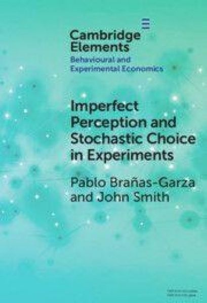Produktbild: Imperfect Perception and Stochastic Choice in Experiments