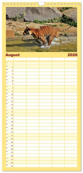 Produktbild: Familienplaner 2026 - Tiger mit 5 Spalten (Wandkalender, 21 x 45 cm) CALVENDO