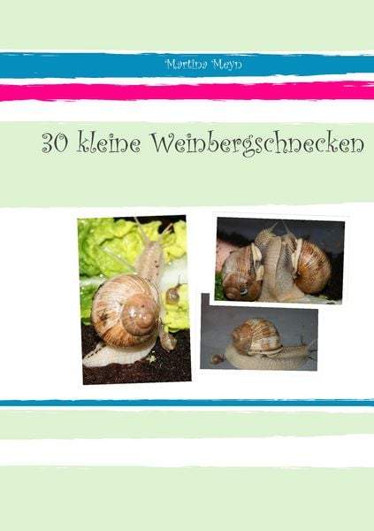 Produktbild: 30 kleine Weinbergschnecken