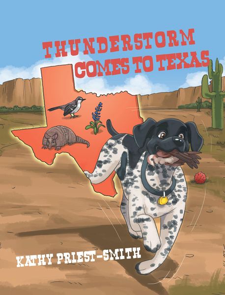 Produktbild: Thunderstorm Comes to Texas