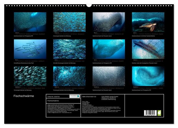 Produktbild: Fischschw&auml;rme (Wandkalender 2026 DIN A2 quer), CALVENDO Monatskalender