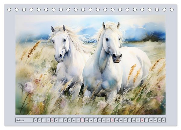 Produktbild: Anmutige Schimmel. &Auml;sthetik wei&szlig;er Aquarell-Pferde (Tischkalender 2026 DIN A5 quer), CALVENDO Monatskalender